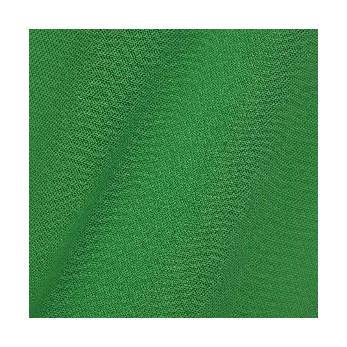 Polo Lacoste Tennis Novak Djokovic Vert