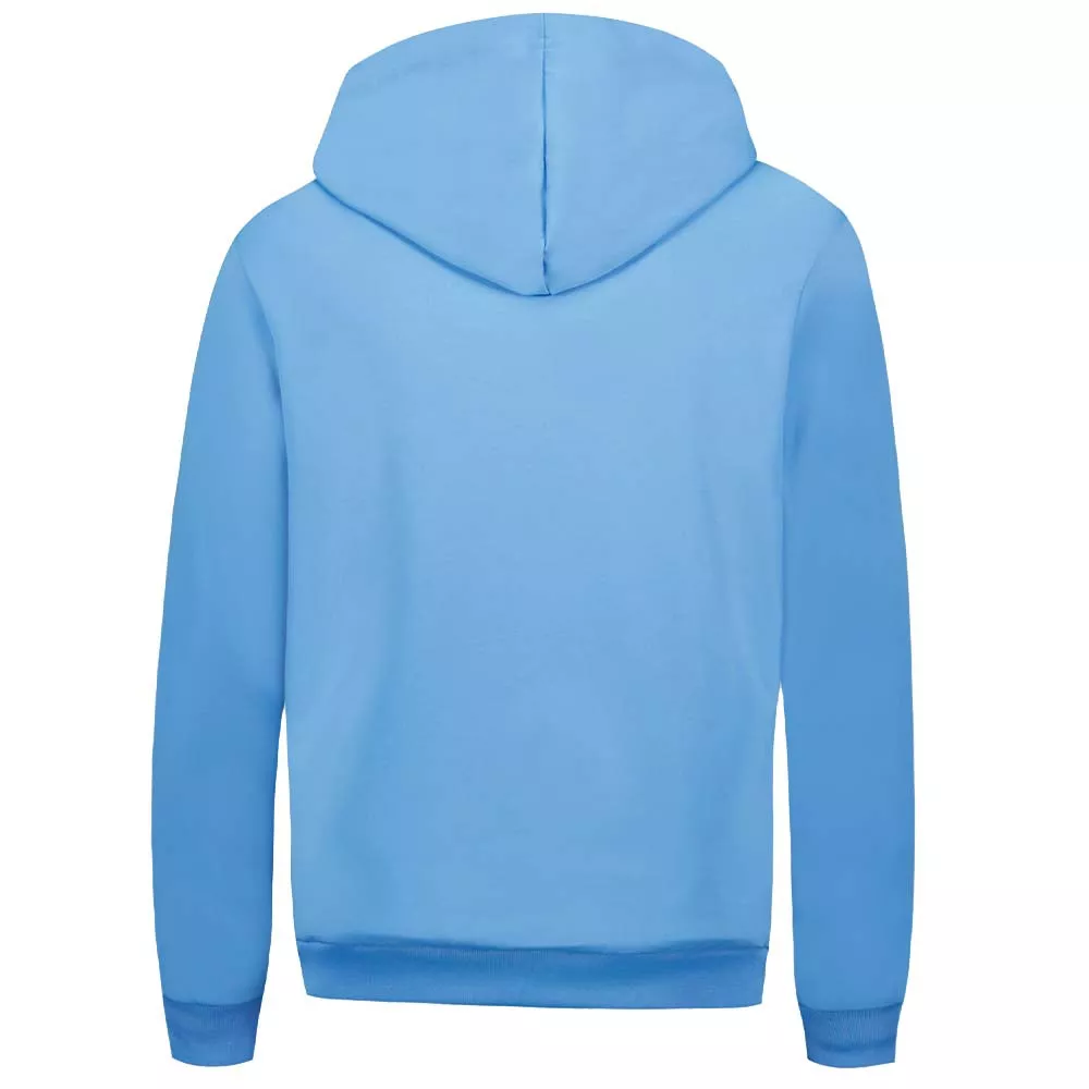 Sweat &agrave; capuche Le Coq Sportif Heritage Bleu