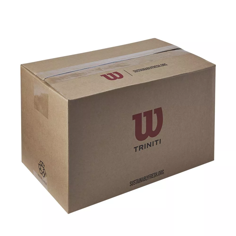 Carton 72 balles Wilson Triniti Club