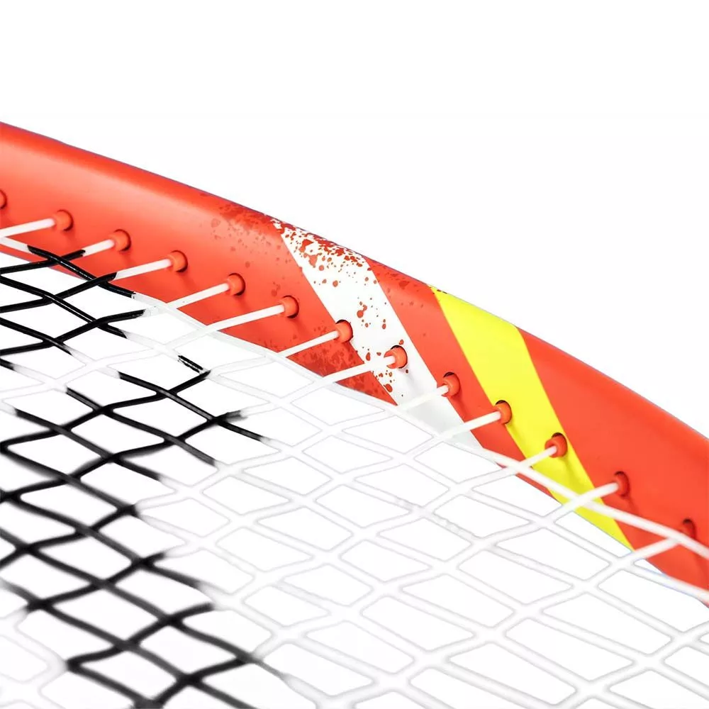 Raquette Tecnifibre T-Fight 300S IG (300g)